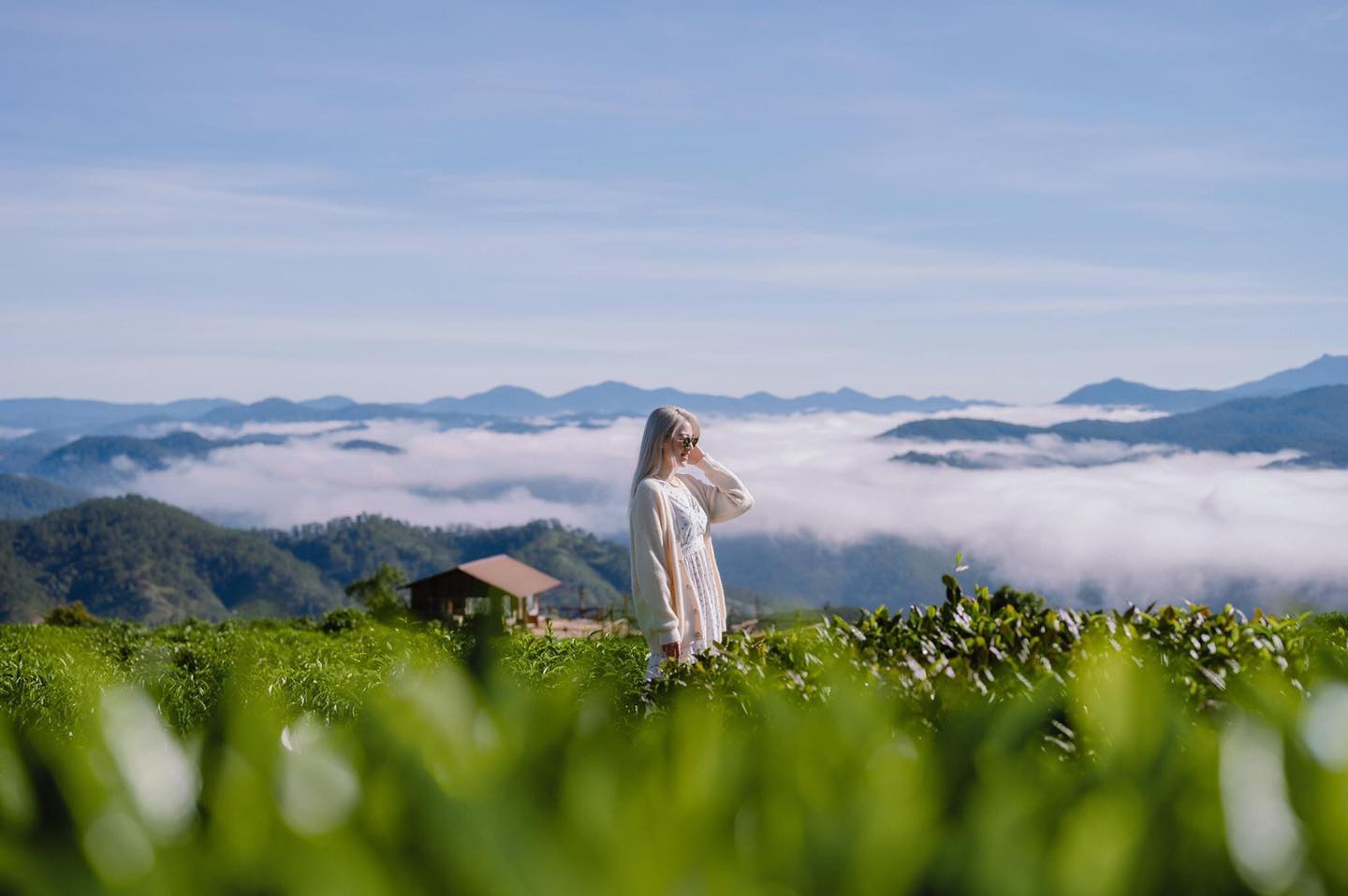 Săn mây Đà Lạt – Trải nghiệm bình minh trên mây tuyệt đẹp